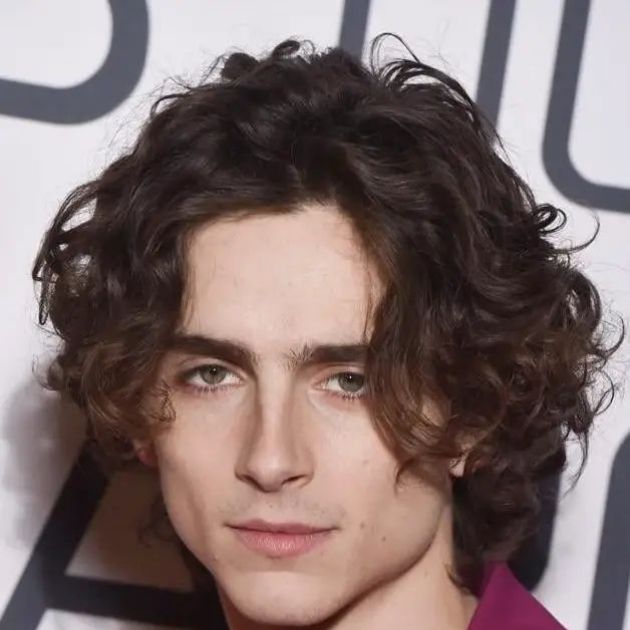 Wavy Medium Messy Men's Curly Hairstyles